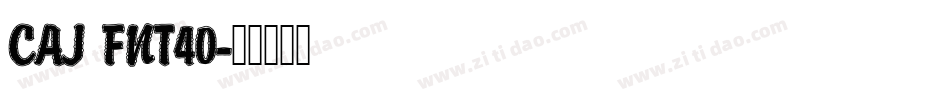 CAJ FNT40字体转换